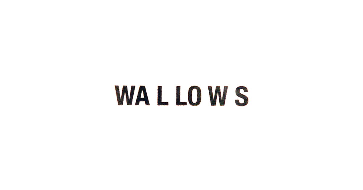 Wallows | Official Website
