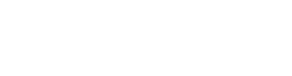 Wallows | Official Website