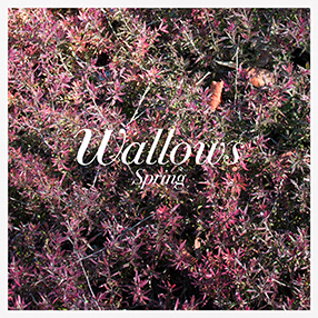 Spring album art